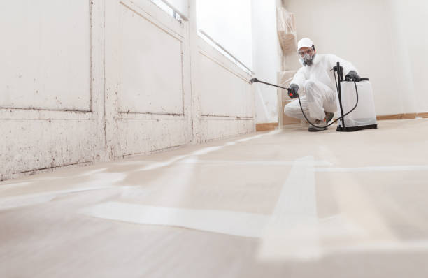 24/7 Emergency Crawl Space Mold Remediation experts in Mechanicsburg, PA